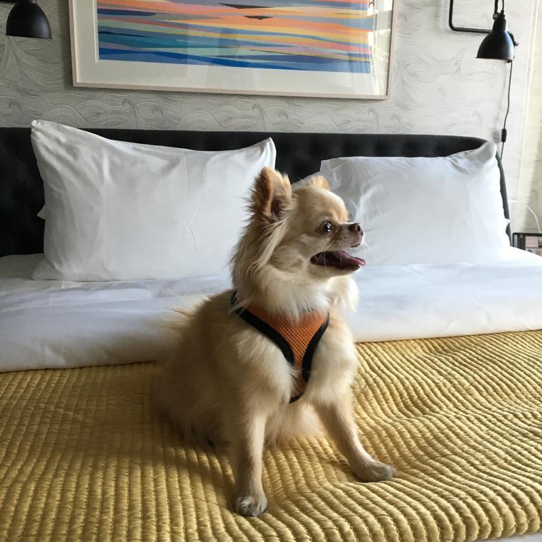 250 Main Hotel Rockland Luaran gambar